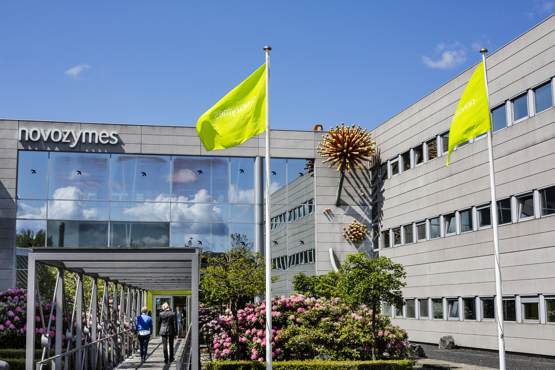 Novozymes 360 video tour - Innopixel